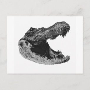 THE GATORS MAKe Postcard