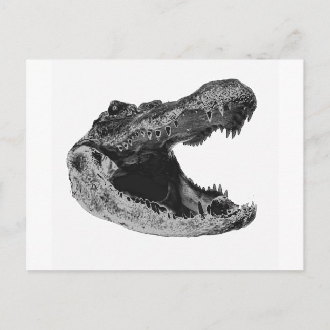THE GATORS MAKe Postcard (Front)