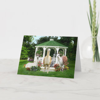 "The Gazebo Girls" Greeting Card