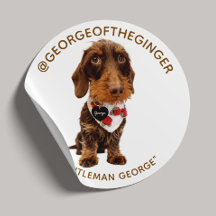 The George | Modern Pet Influencer Photo 1.5"