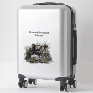 The German Shorthaired Pointer or Deutsch Kurzhaar