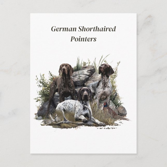 The German Shorthaired Pointer or Deutsch Kurzhaar Invitation Postcard (Front)