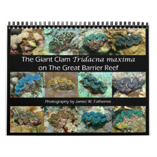 The Giant Clam Tridacna maxima by J.W. Fatherree. Calendar