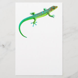 The Giant Day Gecko Stationery