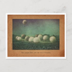 The Giant Puff Ball Race Postcard