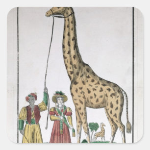 The Giraffe Presented to King from Pasha of Square Sticker