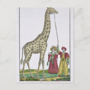 The Giraffe Presented to the King Postcard