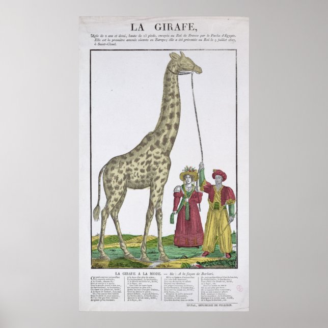 The Giraffe Presented to the King Poster (Front)