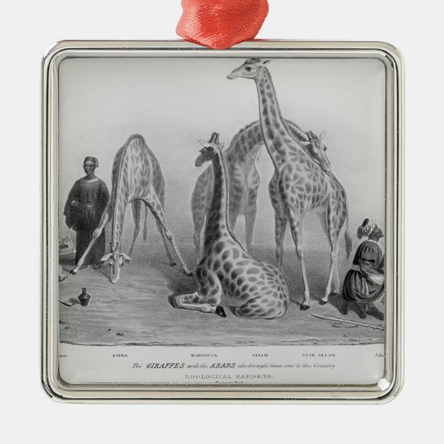 The Giraffes with the Arabs Metal Tree Decoration (Front)