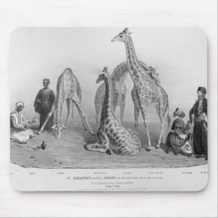 The Giraffes with the Arabs Mouse Pad