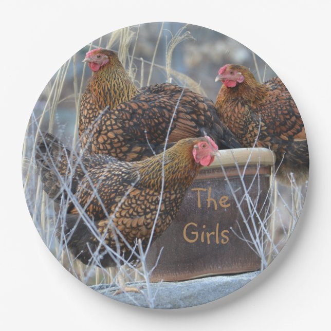 "The Girls" Chicken Paper Plate (Front)