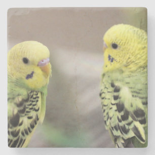 The girls stone coaster