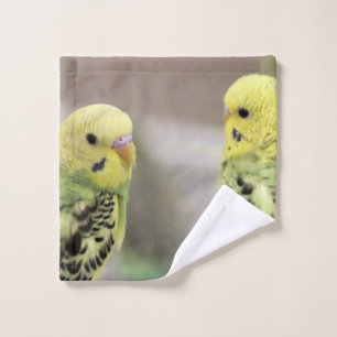 The girls wash cloth