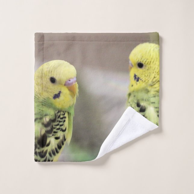 The girls wash cloth (Wash Cloth)