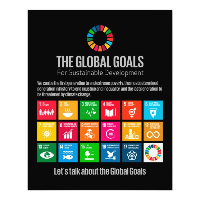 The Global Goals UN SDG 2030 Enlarge Photo Print (Front)