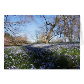 The Glory of Spring--Card
