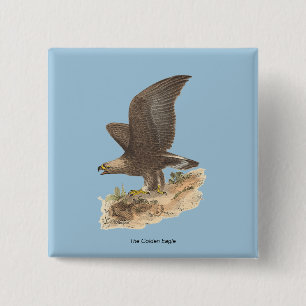 The Golden Eagle (Aquila chrysaetos) NY Bird Image 15 Cm Square Badge