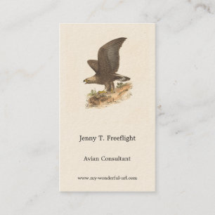 The Golden Eagle (Aquila chrysaetos) NY Bird Image Business Card