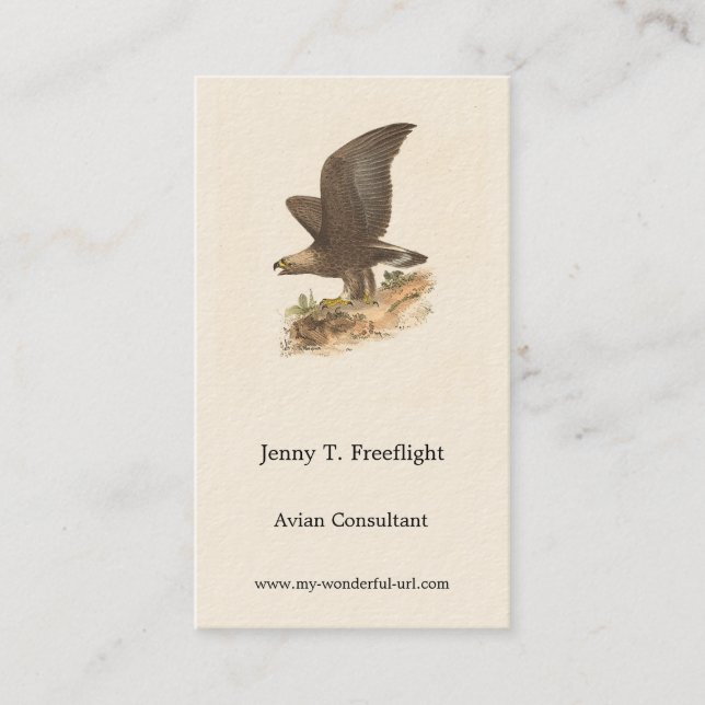 The Golden Eagle	(Aquila chrysaetos) NY Bird Image Business Card (Front)