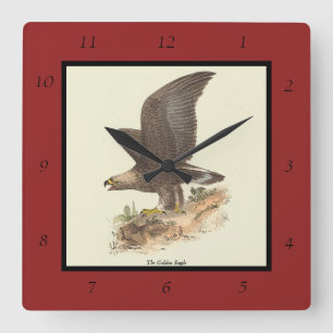 The Golden Eagle	(Aquila chrysaetos) NY Bird Image Square Wall Clock