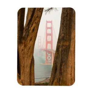 The Golden Gate Bridge Trees from Overlook View Magnet