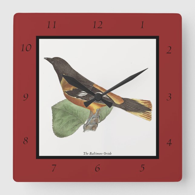 The Golden or Baltimore Oriole (Icterus galbula) Square Wall Clock (Front)