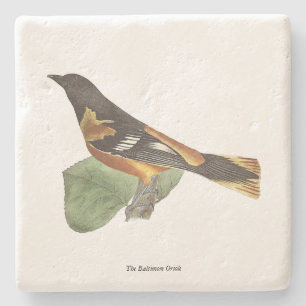 The Golden or Baltimore Oriole (Icterus galbula) Stone Coaster