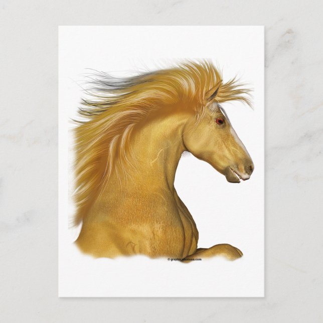 The Golden Palomino Postcard (Front)