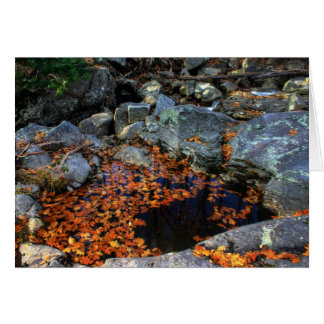 The Golden Pool