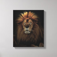 The Golden Proud Lion Africa