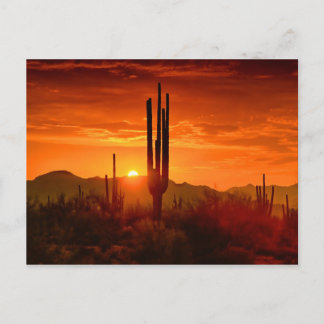 The Golden Southwest Skies Postcard