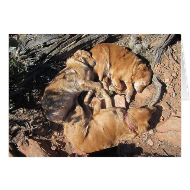 The Golden Triangle (Front Horizontal)