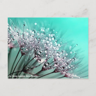 The Good Morning of Flowers Announcement Postcard