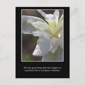 The good of a hospice volunteer postcard