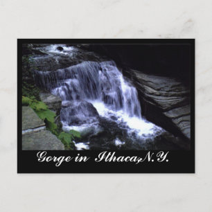 THE GORGES OF ITHACA, N.Y. postcard
