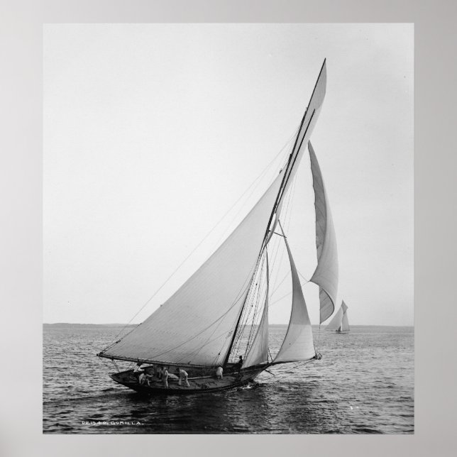 The Gorilla Poster (Front)