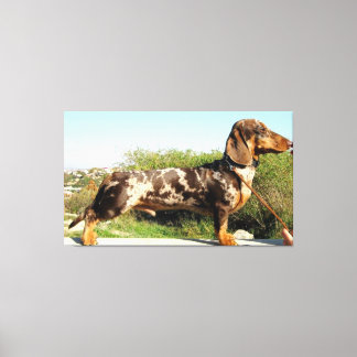 The Grand Dachshund Canvas Print