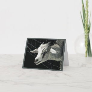 "The Grass is Always Greener" - Goat Card