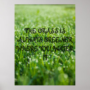 The grass is always greener where you water it poster
