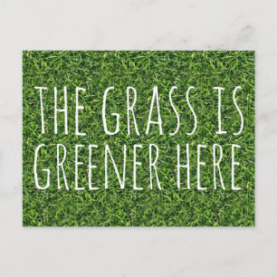 The Grass Is Greener Here Postcard