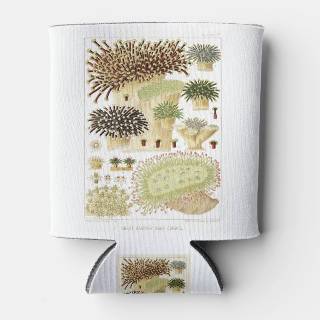 The Great Barrier Reef of Australia Corals Can Cooler (Front)
