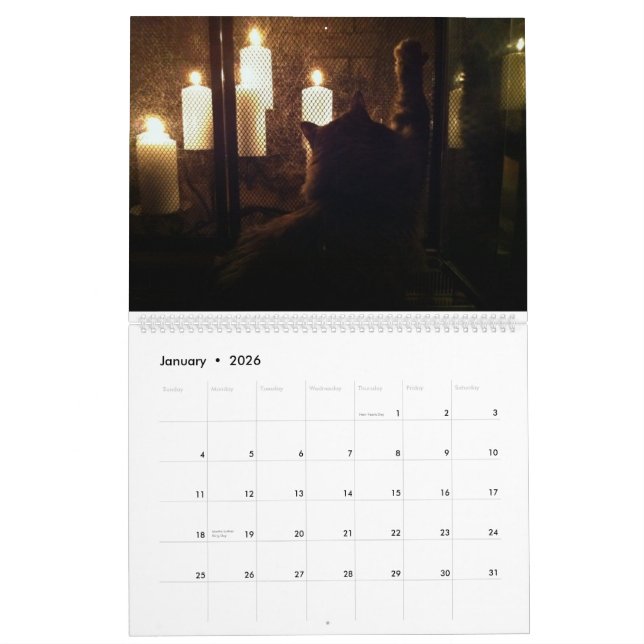 The Great Cat Menace Calendar (Jan 2026)