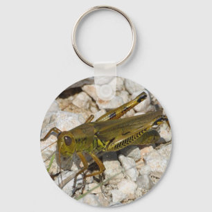 the Great Grasshopper  ! Key Ring