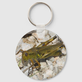 the Great Grasshopper  ! Key Ring