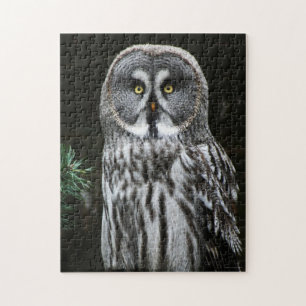 The Great Grey Owl 11x14 252pc jpcnm Jigsaw Puzzle