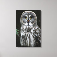 The Great Grey Owl 16x24 (40x60cm) waccna