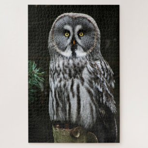 The Great Grey Owl 20x30 1014pc jpm Jigsaw Puzzle
