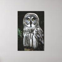 The Great Grey Owl 40x60 (100x150cm) waccna