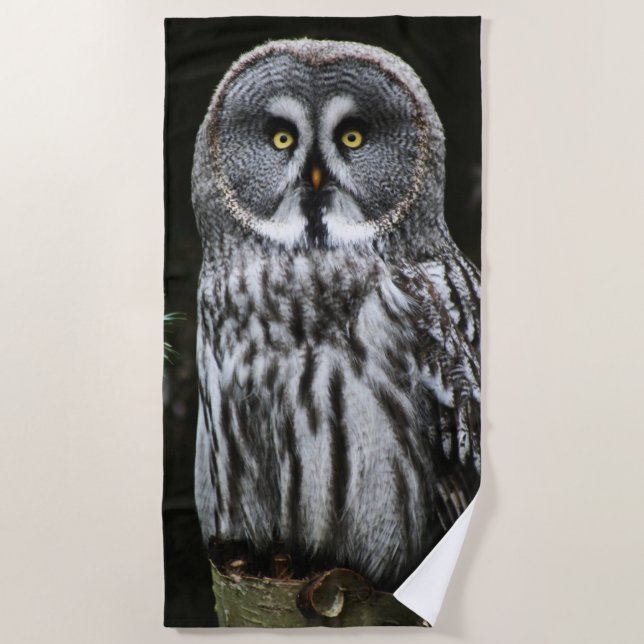 The Great Grey Owl btcna Beach Towel (Front)