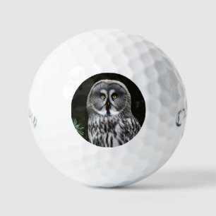 The Great Grey Owl css gbcnm Golf Balls